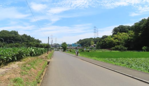 地域情報について